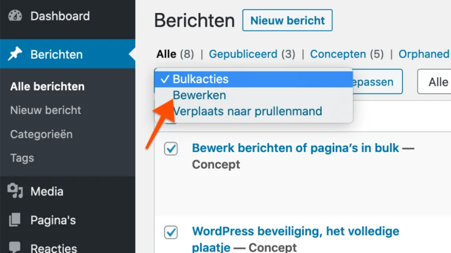 Berichten in het WordPress-dashboard